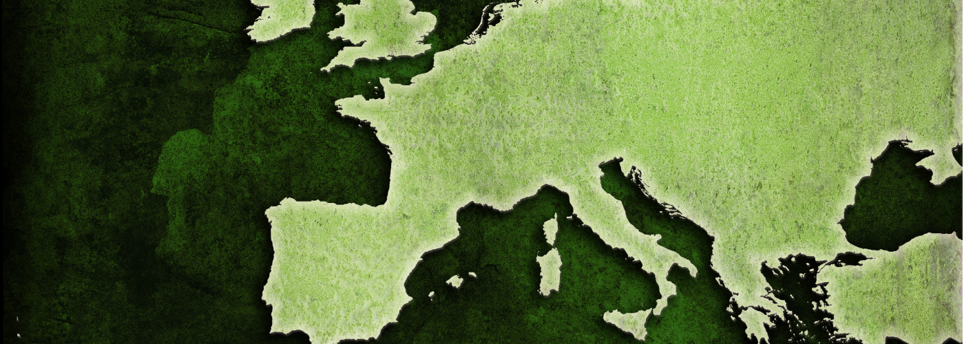 22 febbraio 2024: L'Europa e il suo avvenire alla prova della Transizione
